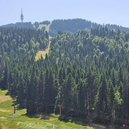 Апартаменты Mountain Chalets *