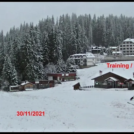 Апартаменты Mountain Chalets Пампорово